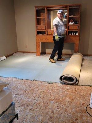 Carpet removal