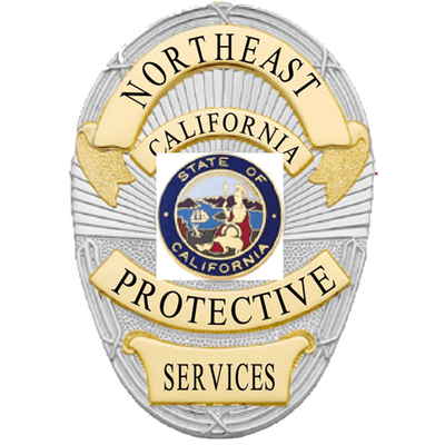 State-certified (CA PPO#1550) NEPS brings quality and reliability to every assignment we accept.