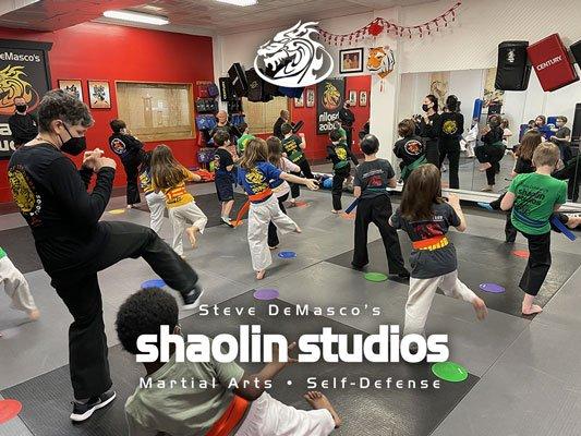 Steve Demasco's Shaolin Studios