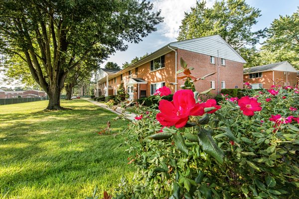 Apartment Homes