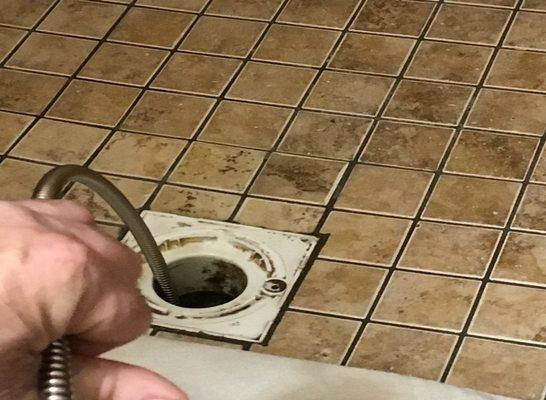 Shower Drain Cleaning