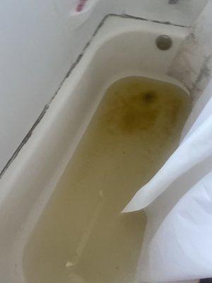 sewage coming from our tub