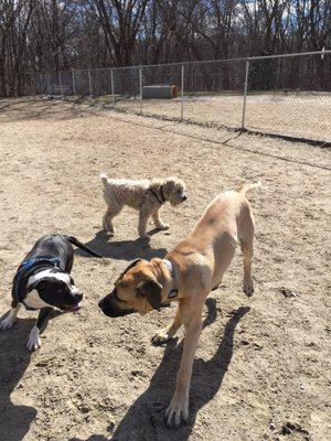 Pawtucket Dog Park