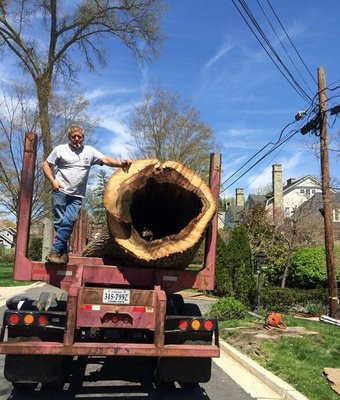 Butler Tree Service