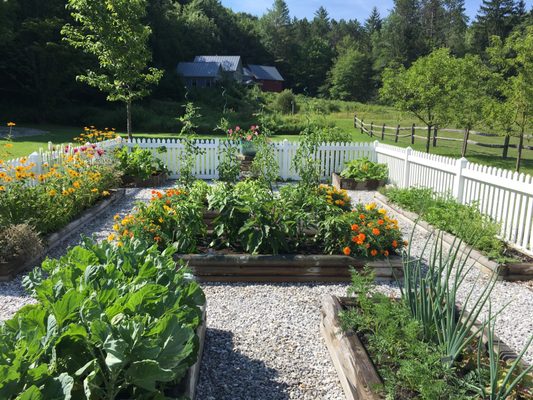 Raised vegetable garden beds surrounded by a white fence.