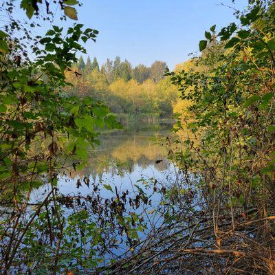 The lake on the south side of the park.