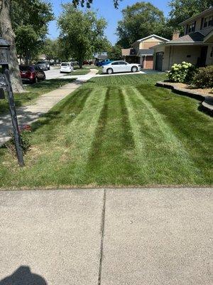 Bright beautiful green grass strips.