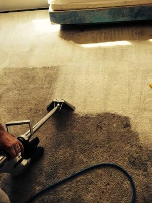 Carpet cleaning in Fredericksburg Va. Wow!