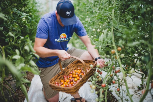 Farm to Truck fresh produce