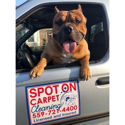 Spot On Carpet and Tile Cleaning