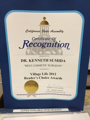 Best cosmetic surgeon--Village life newspaper