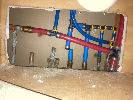 Replaced old copper with new Pex tubing