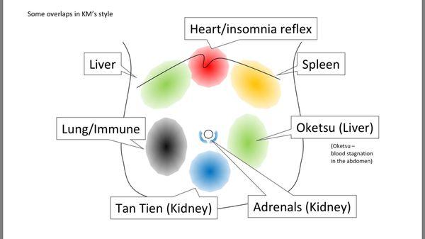 Education on organ reflex points.