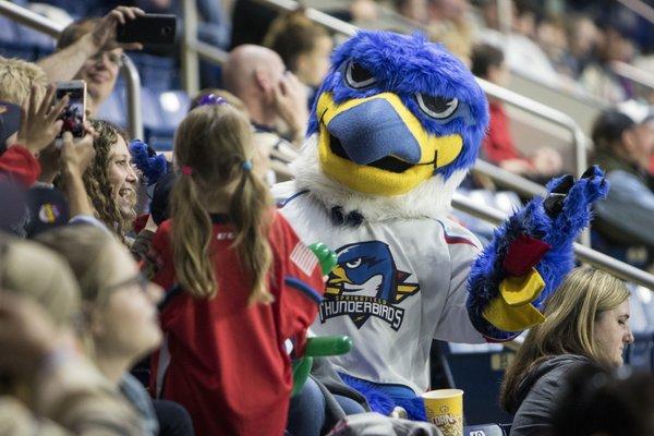 Springfield Thunderbirds