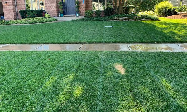 Lawn Care & Maintenance