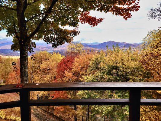 Cabin View