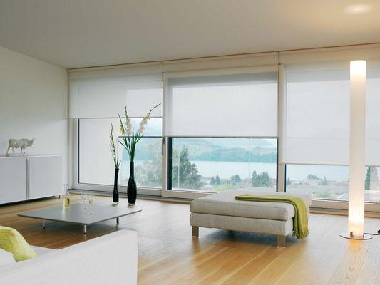 Roller shades