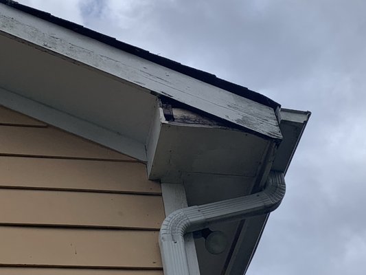 Moisture damage at soffit