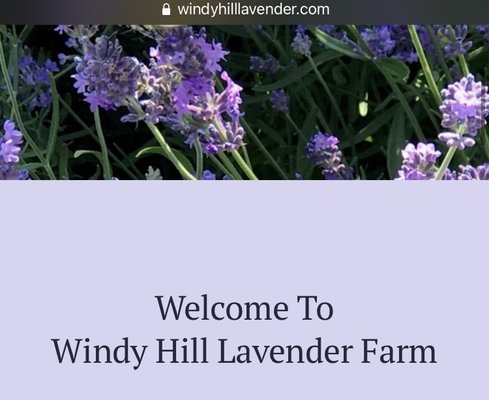 Windy Hill Lavender Farm