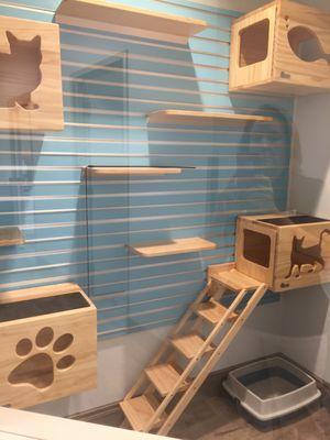 Play area for boarding cats.