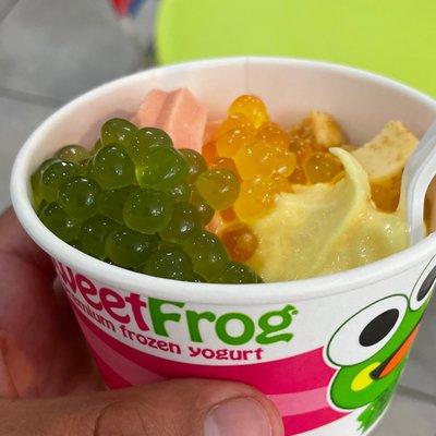 sweetFrog Premium Frozen Yogurt