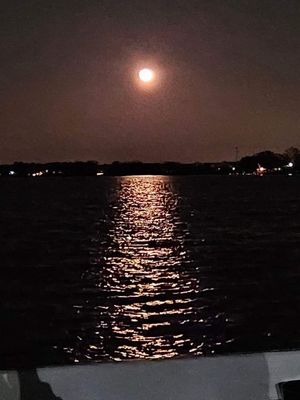 View from the Deck at night