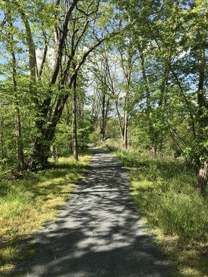 A view of the trail