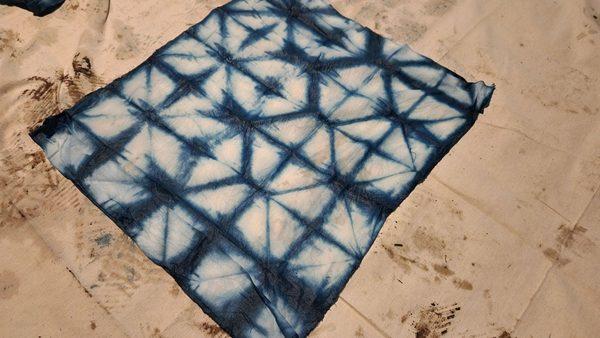 Indigo dyeing activity