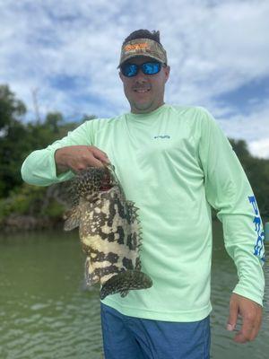 Goliath grouper