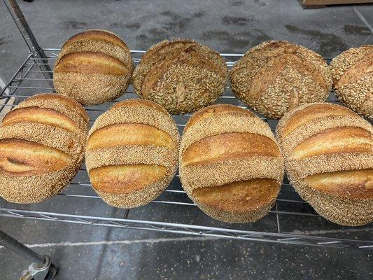 Giovanni's Semolina Loaf