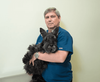 Dermatology and Allergy Service for Animals