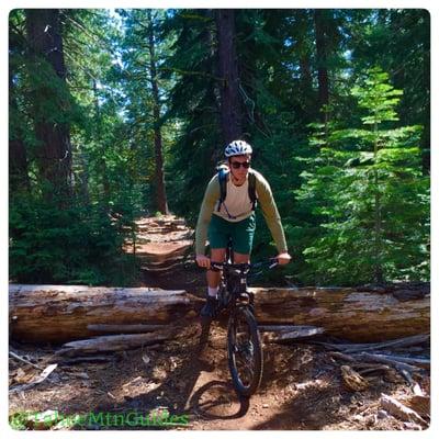 You might find some obstacles on the High Country mountain bike tour. Can't ride over logs? We will coach you!