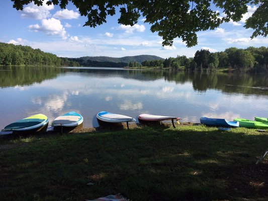 Paddle boards ready for rental