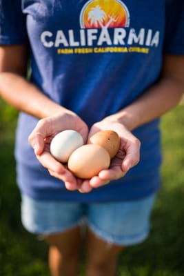 We use Organic and Farm Fresh Eggs from Hopewell Gardens