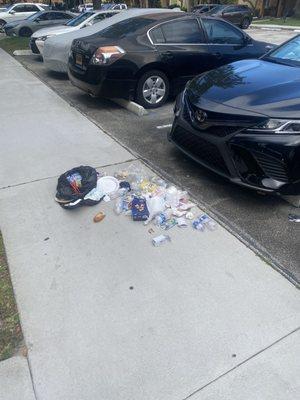 Trash thrown on the pavement