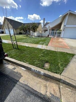 New sod installation in Anaheim for only 3k