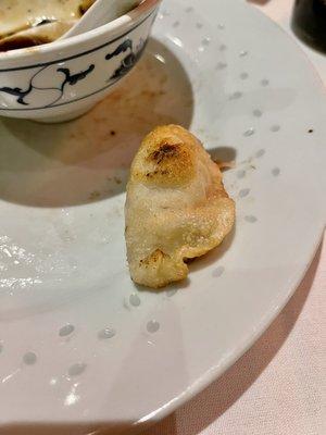 Steamed Or Pan Fried Dumplings