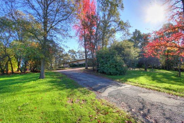 Private, serene 2 acre property