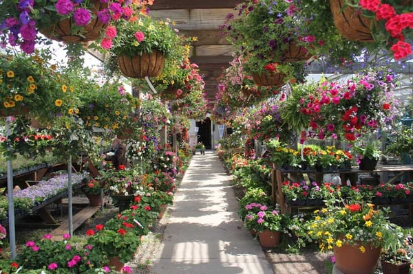 Your complete garden supply center. We carry annuals, perennials, shrubs, and trees.