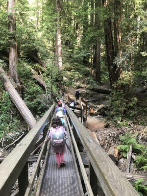 Wandering and exploring in Earth Discovery Camp!