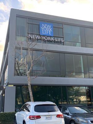 NYL branch