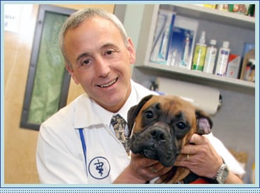 Dr. Russ Petro opened Valley Cottage Animal Hospital in 1980. Prior to his arrival in the Hudson Valley area, he practiced medic