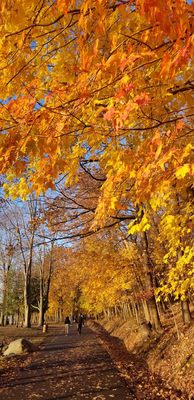 Rockland Lake State Park