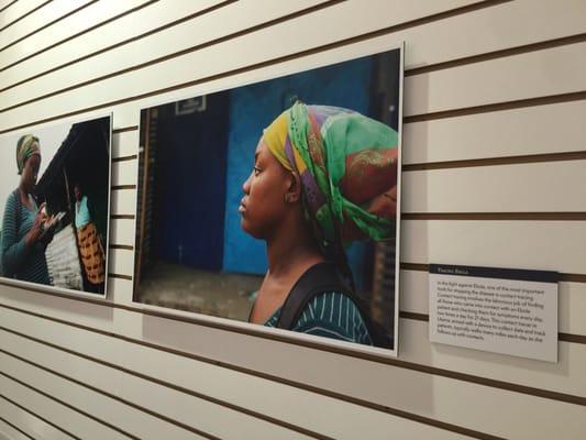 Ebola exhibit in the lobby gallery.