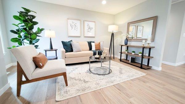 Living Room Transitional Contemporary