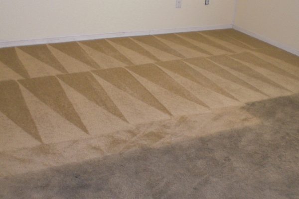 Carpet cleaning