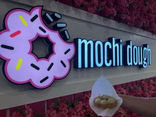 Mochi Dough - Natick