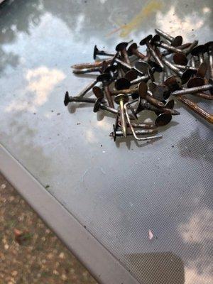 just about half the nails that we found around our property