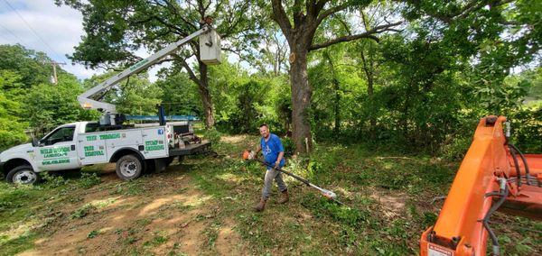 During clearing of fence