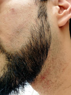 Again, next irritated as fuck, Beard like nothing like the other side, hair sticking out everywhere where i told him to get it